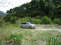 P1110139.JPG Photo