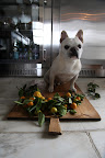 Okay, Franny - I see that you're really getting into this and your garnish does look pretty.