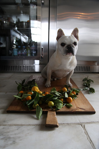 Okay, Franny - I see that you're really getting into this and your garnish does look pretty.