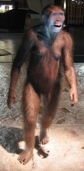 [Australopithecus-afarensis3.jpg]