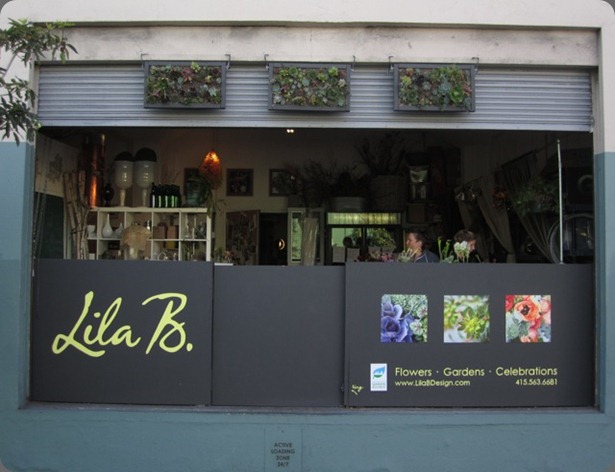 lila b2 img_1221