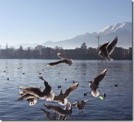 Locarno Lago  Maggiore Suiça