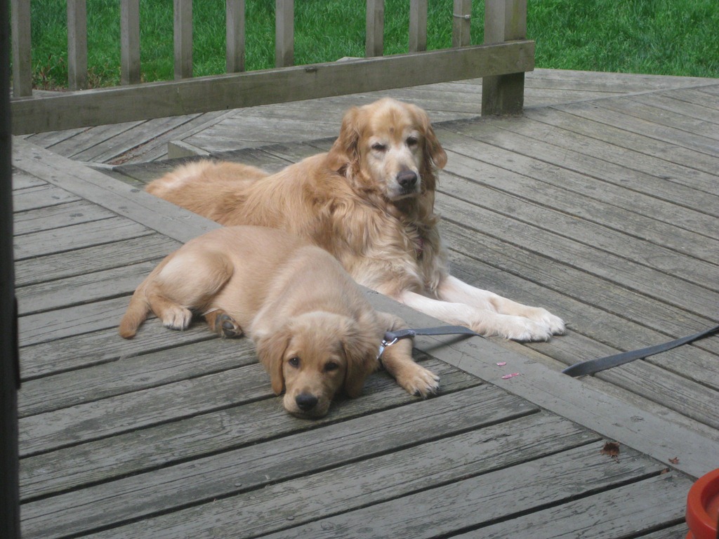 [IMG_0201%255B4%255D.jpg]