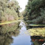 DSCN2941.JPG