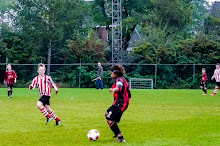 2013101005 - WVV D4 - NOORDSTER D2 - 004.jpg