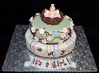 Birdie Baby Shower Cake