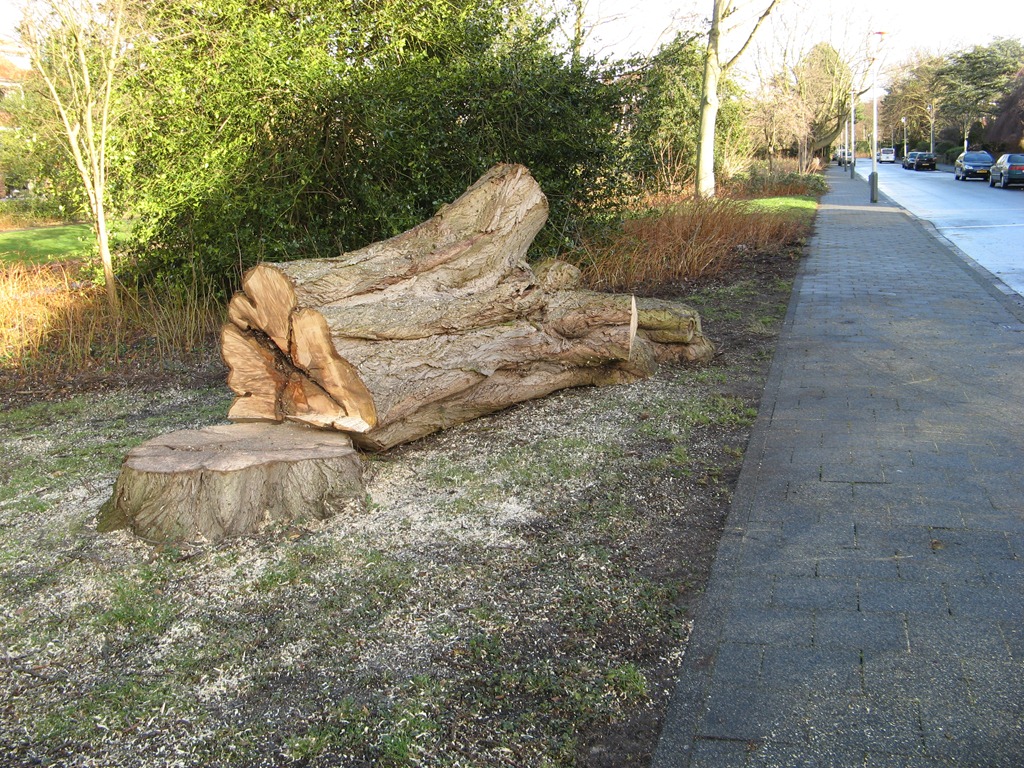 [IMG_7230%255B5%255D.jpg]