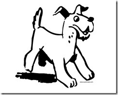 Cachorro 27