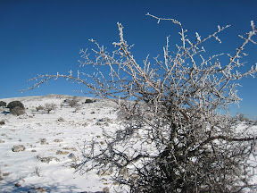 IMG_7407.JPG