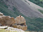colorado