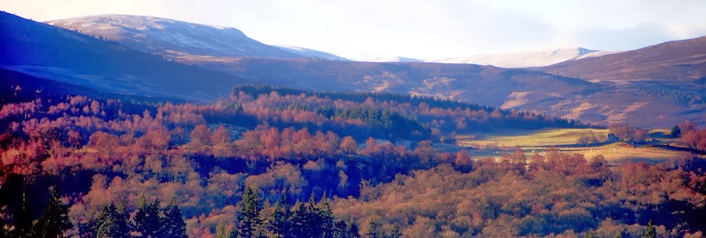 [13%2520Jan%25203%255B3%255D.jpg]