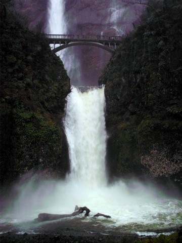 [fair%2520pics%252009%255B2%255D.jpg]