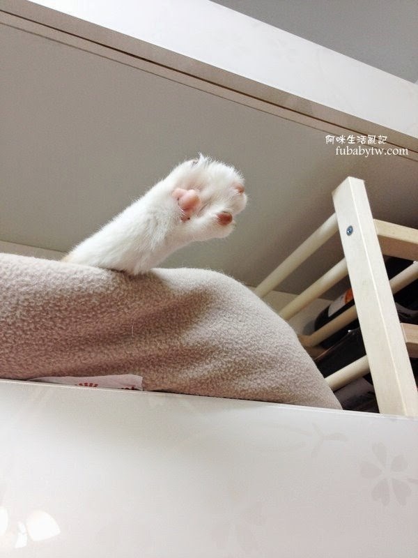 調整大小IMG_6160 調整大小IMG_6160