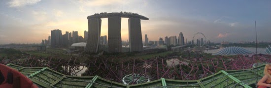 IMG_6575.jpg Sunset over Singapore from the bar up the 'tree' at Gardens by the Bay