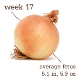 week 17