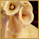 Wedding- Bridal