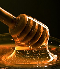 honey honey