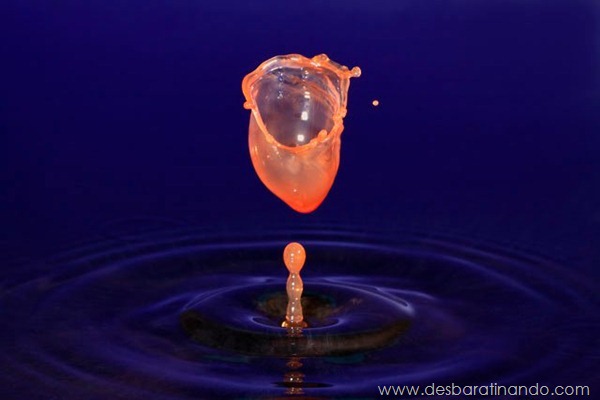 liquid-drop-art-gotas-caindo-foto-velocidade-hora-certa-desbaratinando (106) liquid-drop-art-gotas-caindo-foto-velocidade-hora-certa-desbaratinando (106)