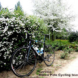 2011 Cervelo R5 Marco Polo Cycling Team bicycle