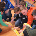 Schlangenschau_50.jpg