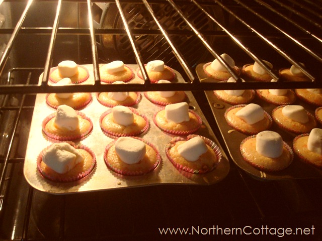 [cupcakes--NorthernCottage.net4.jpg]