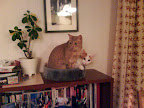 DSC00018 (2).JPG
