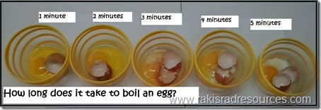 Using eggs to cook science - conduction, convection, radiation, etc. - from Raki's Rad Resources.