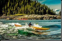 (c)Worldwildadventures-3796