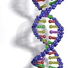 [dna%255B5%255D.jpg]