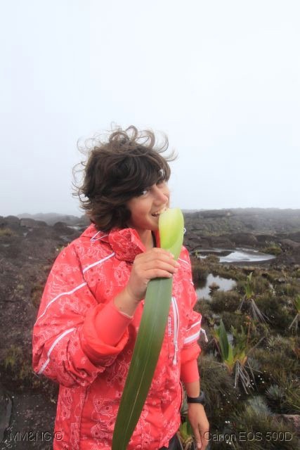 [IMG_2110%255B3%255D.jpg]