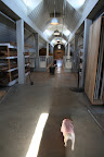 Wow, it's pretty empty up here!  We better remind Betsy to order more hay, right away!3