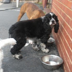 DSCN4931.jpg