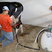 superleite2011_dia1507_94.JPG