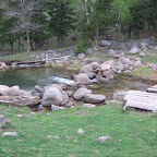 IMG_1900.jpg