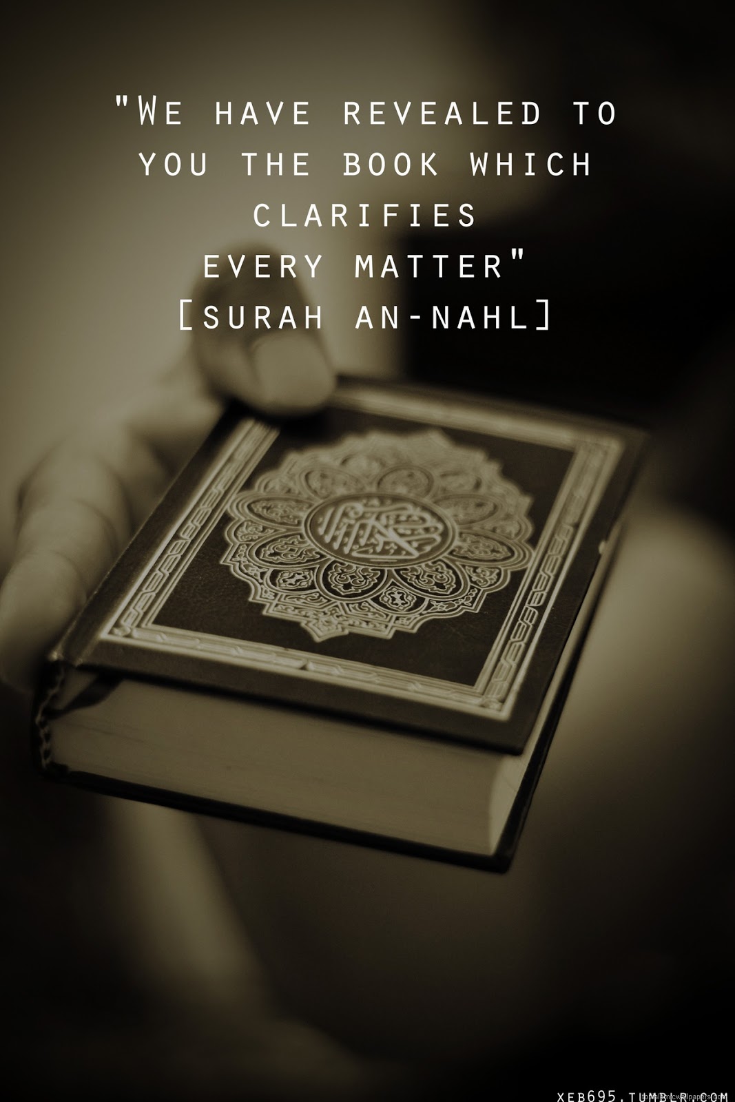[we_have_revealed_to_Islamic_quran_photo_with_quote%255B8%255D.jpg]
