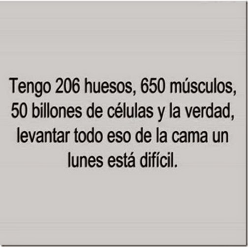 levantarse de la cama un lunes levantarse de la cama un lunes