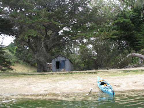 2008-08-03-112147.jpg