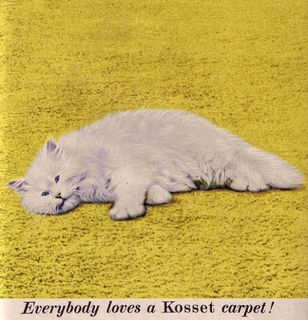 [Vintage-Cat-Advertisements-20%255B4%255D.jpg]