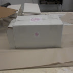 CIMG1089.JPG