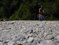 Sometimes the roads aren't so bicycle friendly.  In Parque Nacional Los Alerces, Argentina.