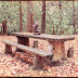 DSCN3643.JPG