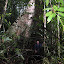 Andy in a big tree