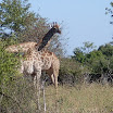 Konig Trip-18.JPG