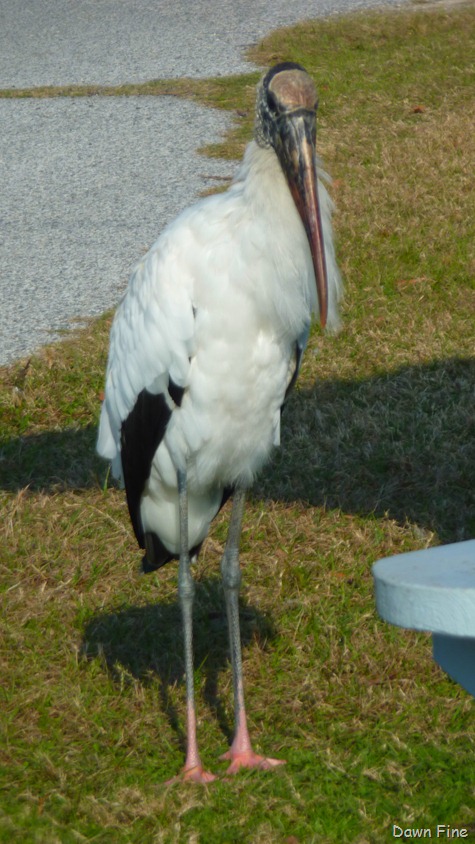 [Touring-Coast-_0144.jpg]