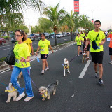 Pet Express Doggie Run 2012 Philippines. Jpg (77).JPG