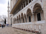 P4253698.JPG