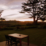 The Backyard at Steeples Cottage - Cape Foulwind, New Zealand