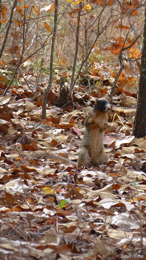 [Greenway_0043.jpg]
