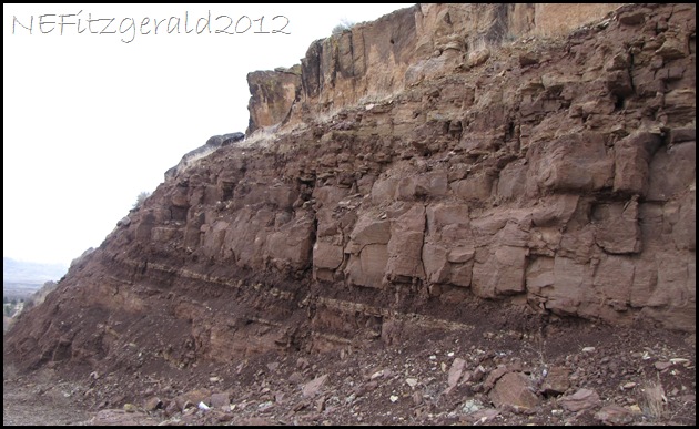 IMG_0965Upper RedMember Moenkopi Formation