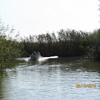 IMG_7947.JPG